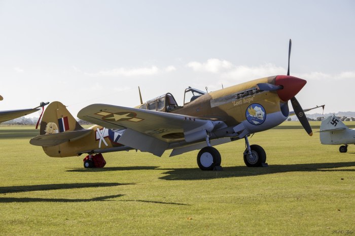 Curtiss p-40