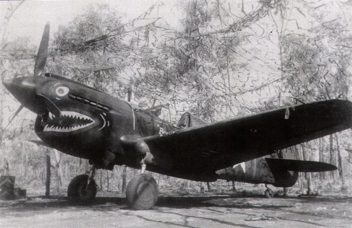 П 40 Вархавк
