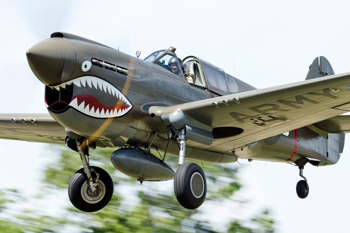 P40e Warhawk