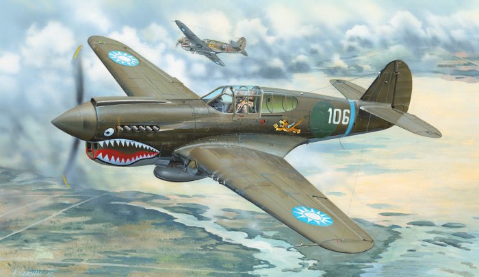 Curtiss p-40