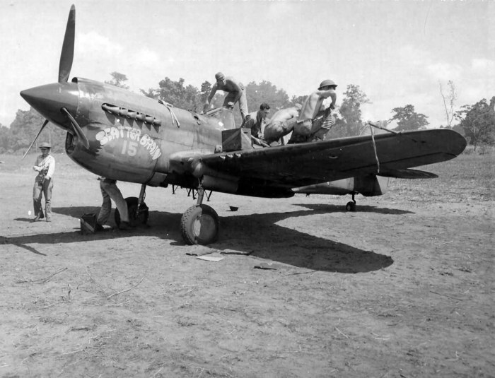 Curtiss p 40e