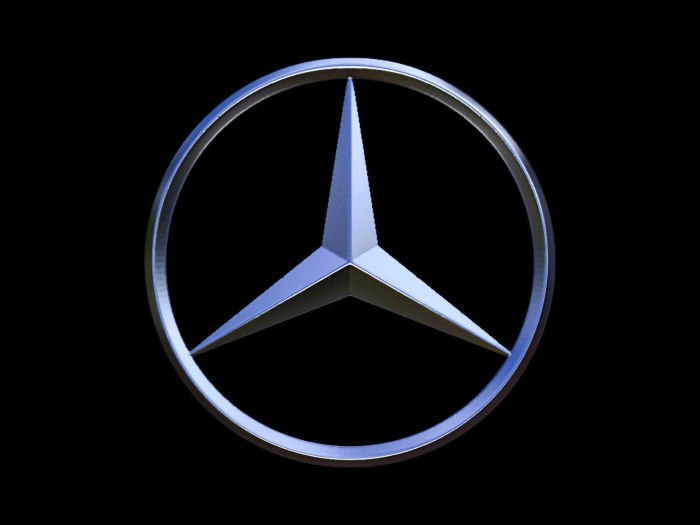 Mercedes Benz logo w163 White