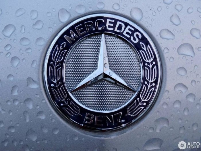 Mercedes Benz символ