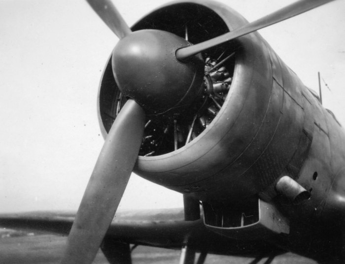 He-70 Blitz