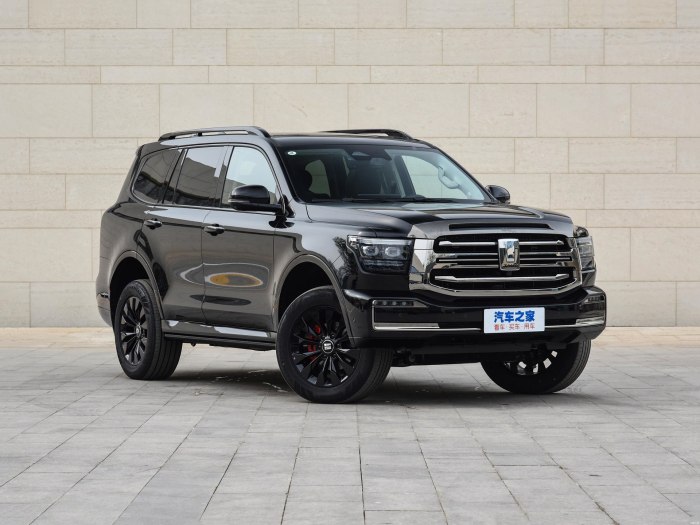 Tank 500 great Wall