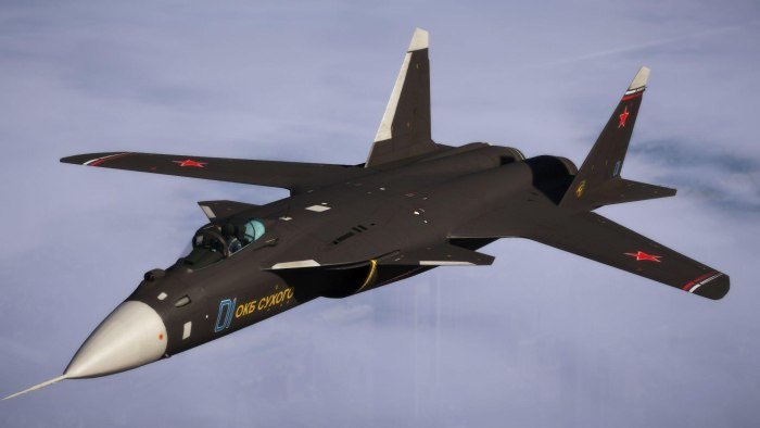 Самолет с обратной стреловидностью крыла Су-47