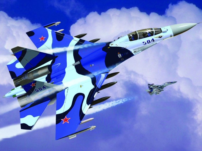 Су-30мк Макс 2001