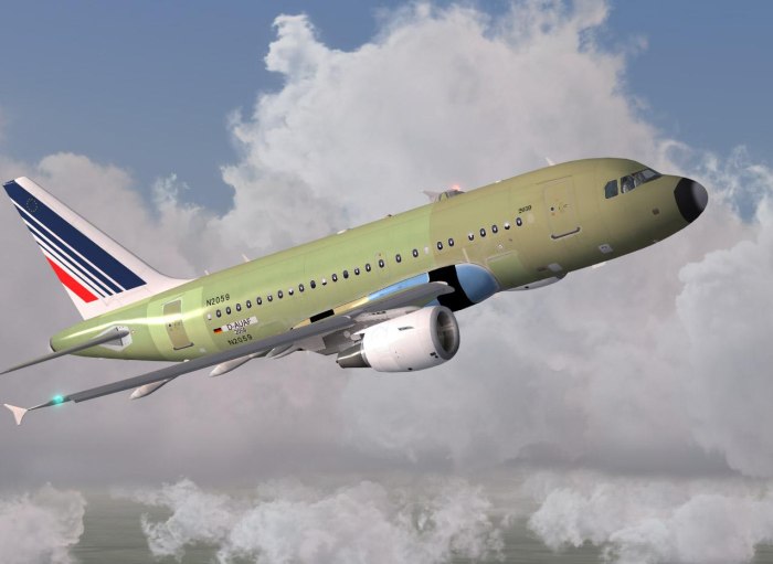 Airbus a318 CJ