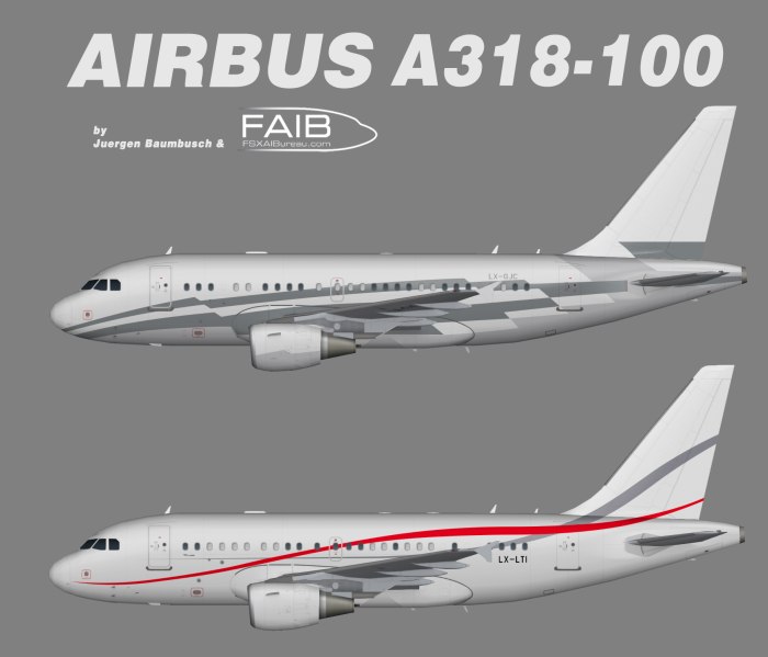 Airbus a318 характеристики