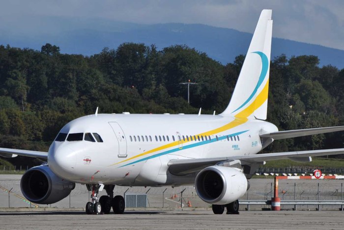 Aerobus a318 Elite