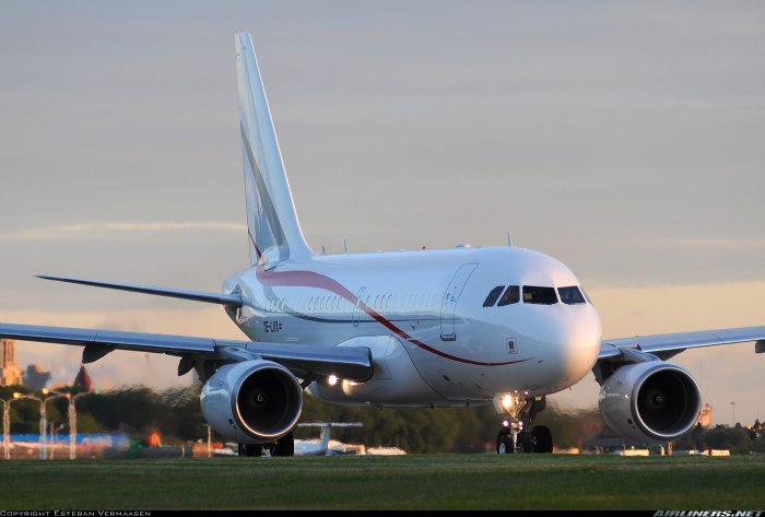 Airbus a318