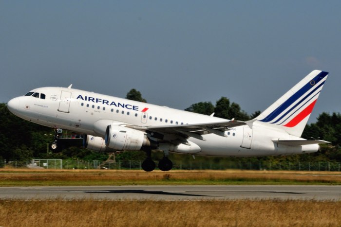 Airbus a318 Elite