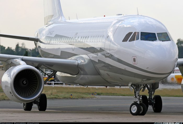 A318 Elite
