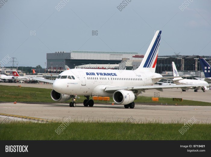 A318 Air France