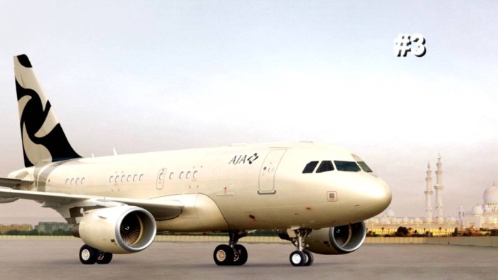 A318 Elite