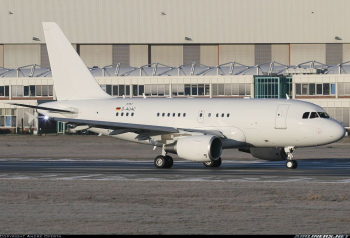 A318 Elite