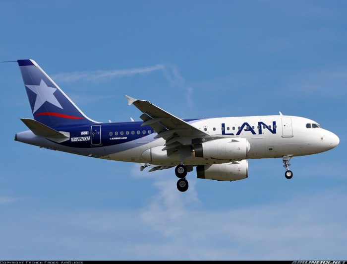 А-318 самолет