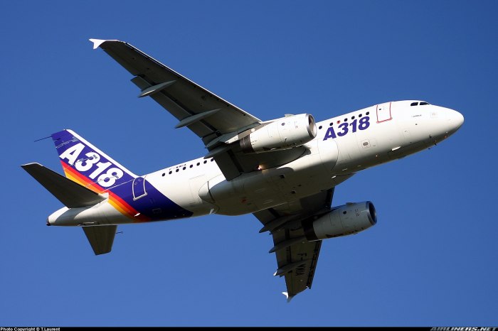 Airbus a318 Elite