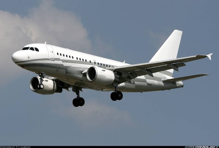 Airbus a318 салон