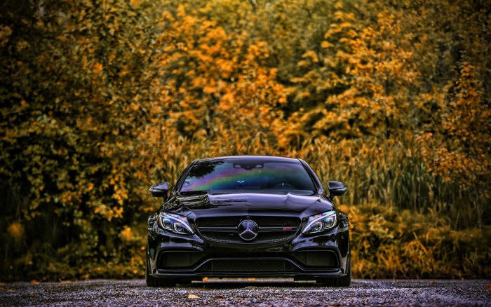 Мерседес-Бенц AMG 63 черный