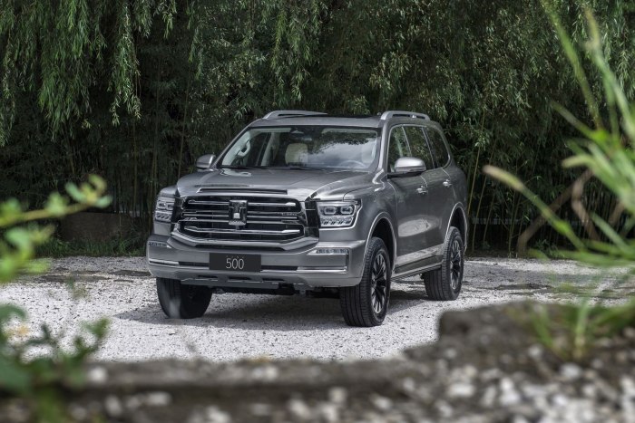 Haval Tank 300