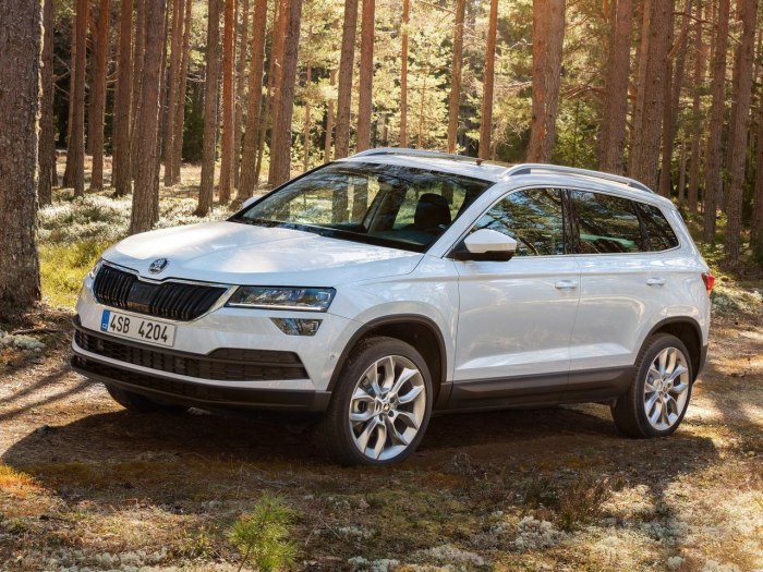 Skoda Skoda Karoq