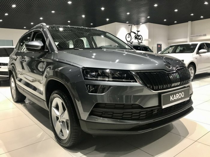 Skoda Karoq 2021