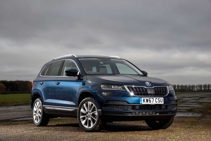 Skoda Karoq синий