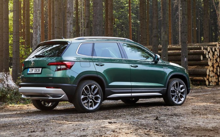 Skoda Karoq 2020