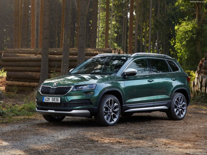 Skoda Karoq 2019