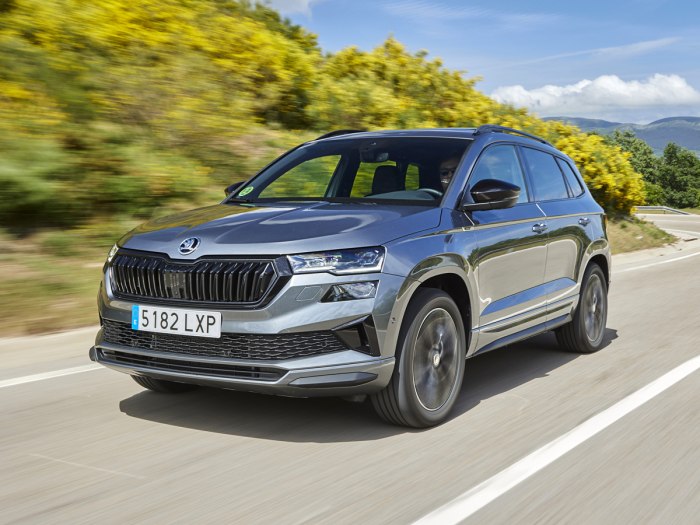 Skoda Karoq 2022