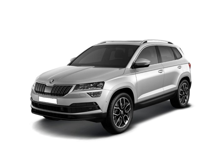 Skoda Karoq 2017