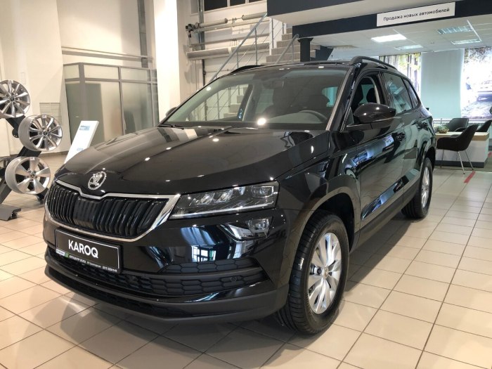Skoda Karoq черный