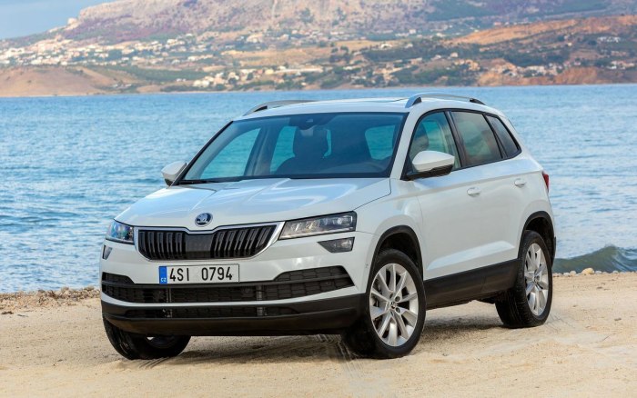 Skoda Karoq 2017