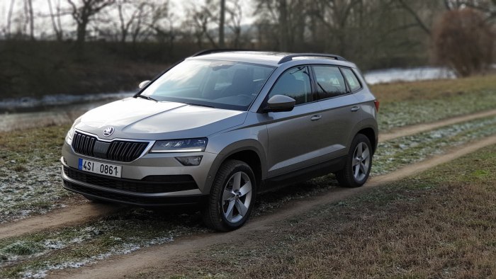 Skoda Karoq 2020