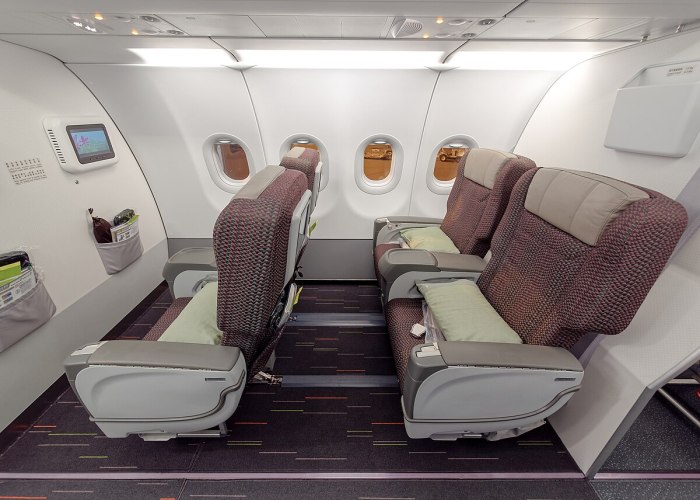 Airbus a321 Business class