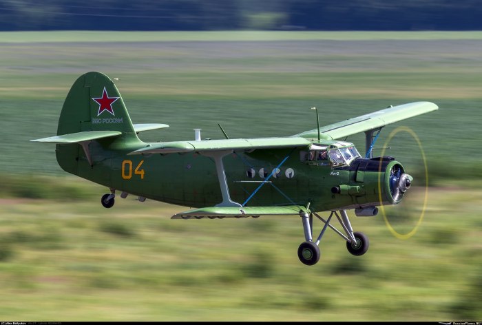 АН-2 ВВС России
