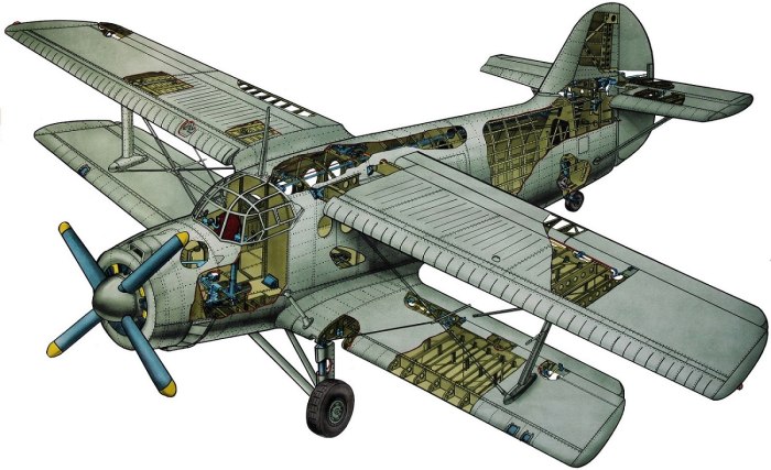 АН-2 биплан кабина
