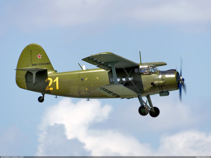 АН-2 ВВС России