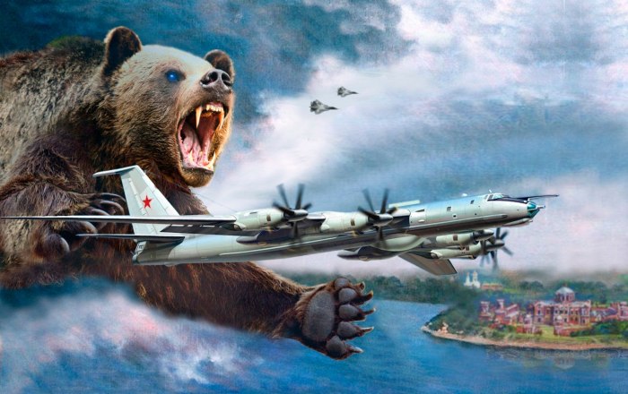 Русский медведь самолет