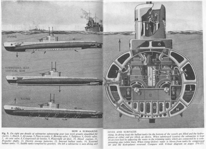 Подводная лодка акула 1909
