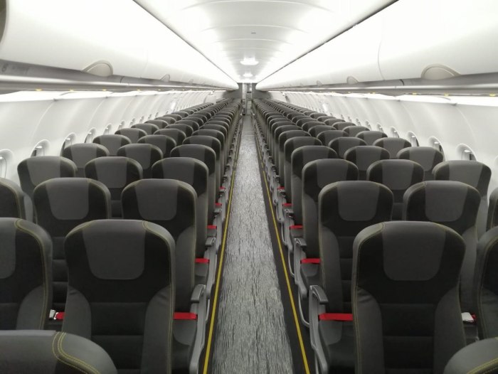 Аэробус а321 Пегасус