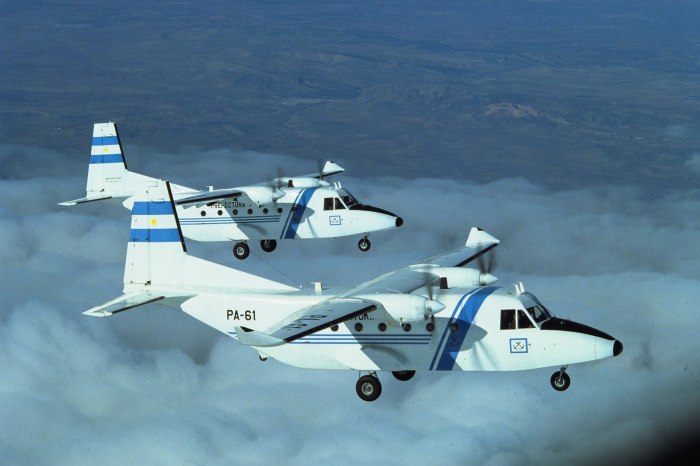 Л-65 самолет