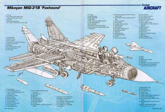 Миг 29 Cutaway