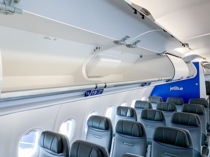Бизнес на Airbus a321-100/200