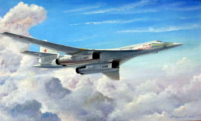 Бомбардировщик ту 160 Илья Муромец