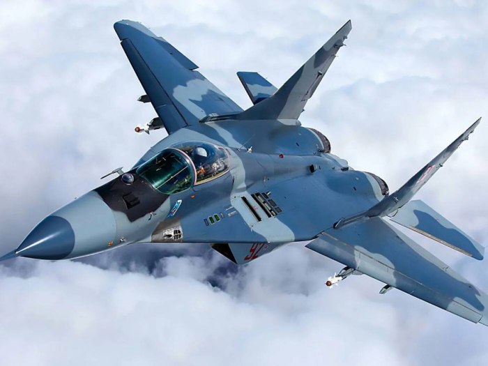 Су-29 истребитель