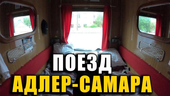 Люкс вагон Самара Адлер
