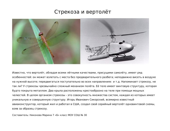Вертолет Бионика