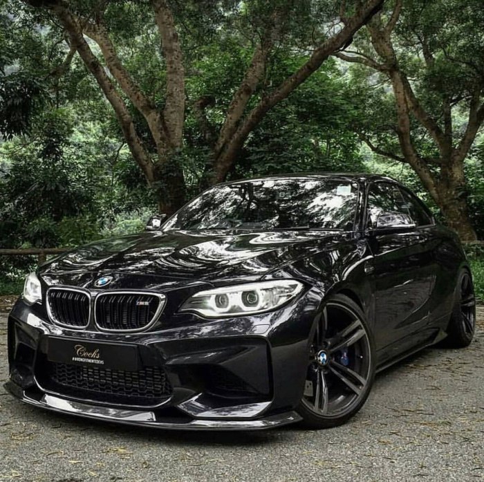 BMW m2 Black